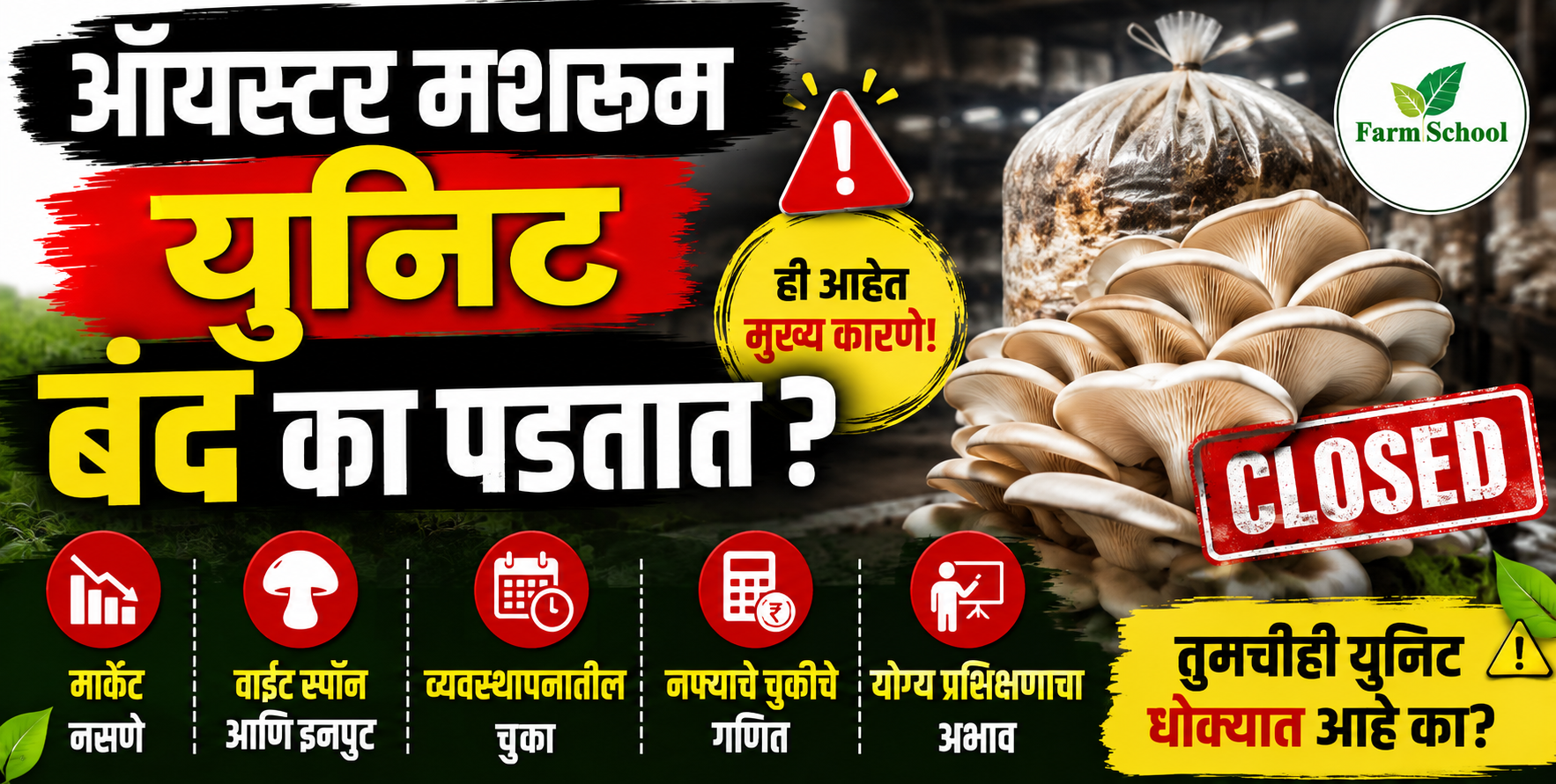 ऑयस्टर मशरूम युनिट बंद पडण्याची ५ कारणे