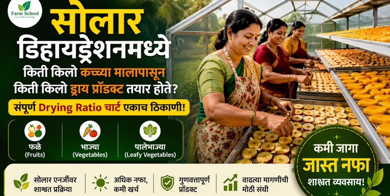 सोलार डिहायड्रेशन व्यवसाय: ड्राय प्रोडक्टसाठी किती कच्चा माल लागतो?