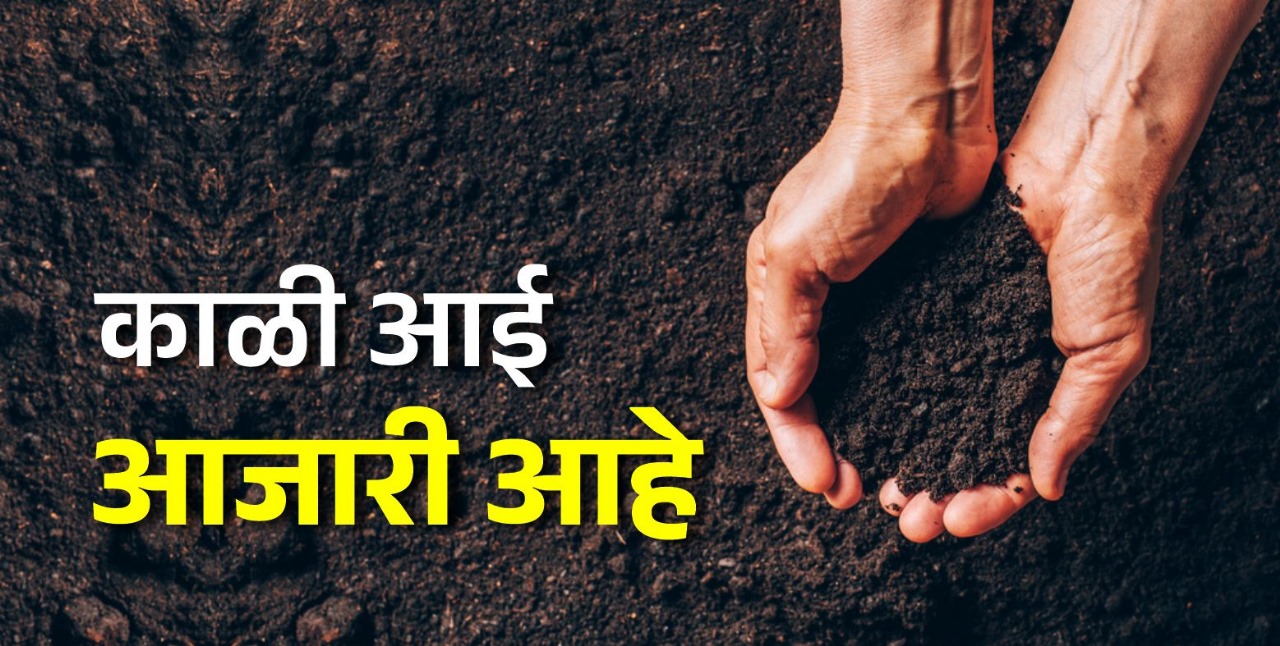 माती वाचली तर जग वाचेल