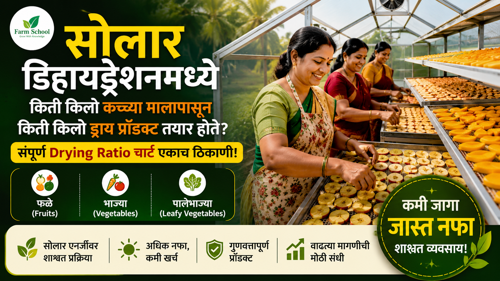 सोलार डिहायड्रेशन व्यवसाय: ड्राय प्रोडक्टसाठी किती कच्चा माल लागतो?