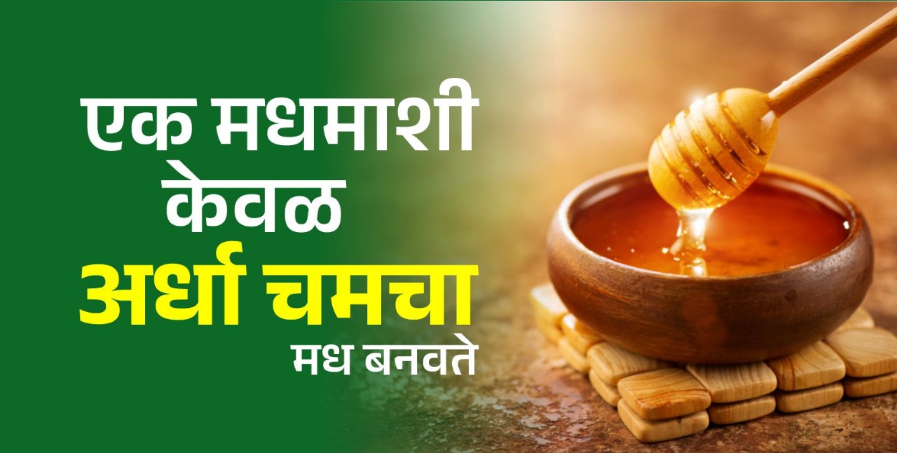 डान्स, शिस्त अन् मधाचे उत्पादन; मधमाशांबद्दल या रंजक गोष्टी माहितीयेत का?