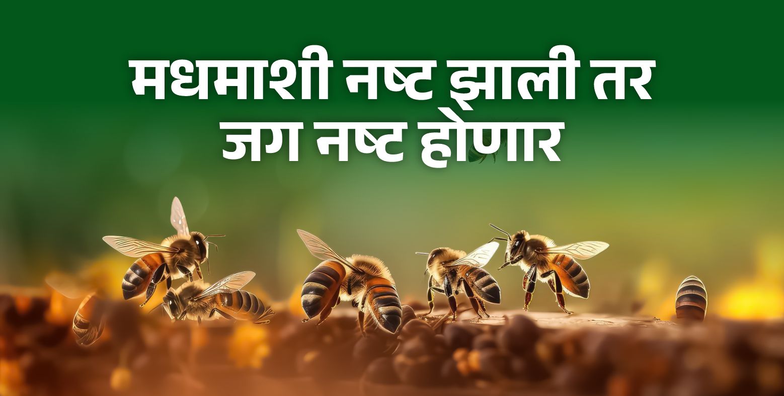 मधमाशी शिवाय अन्ननिर्मिती नाही