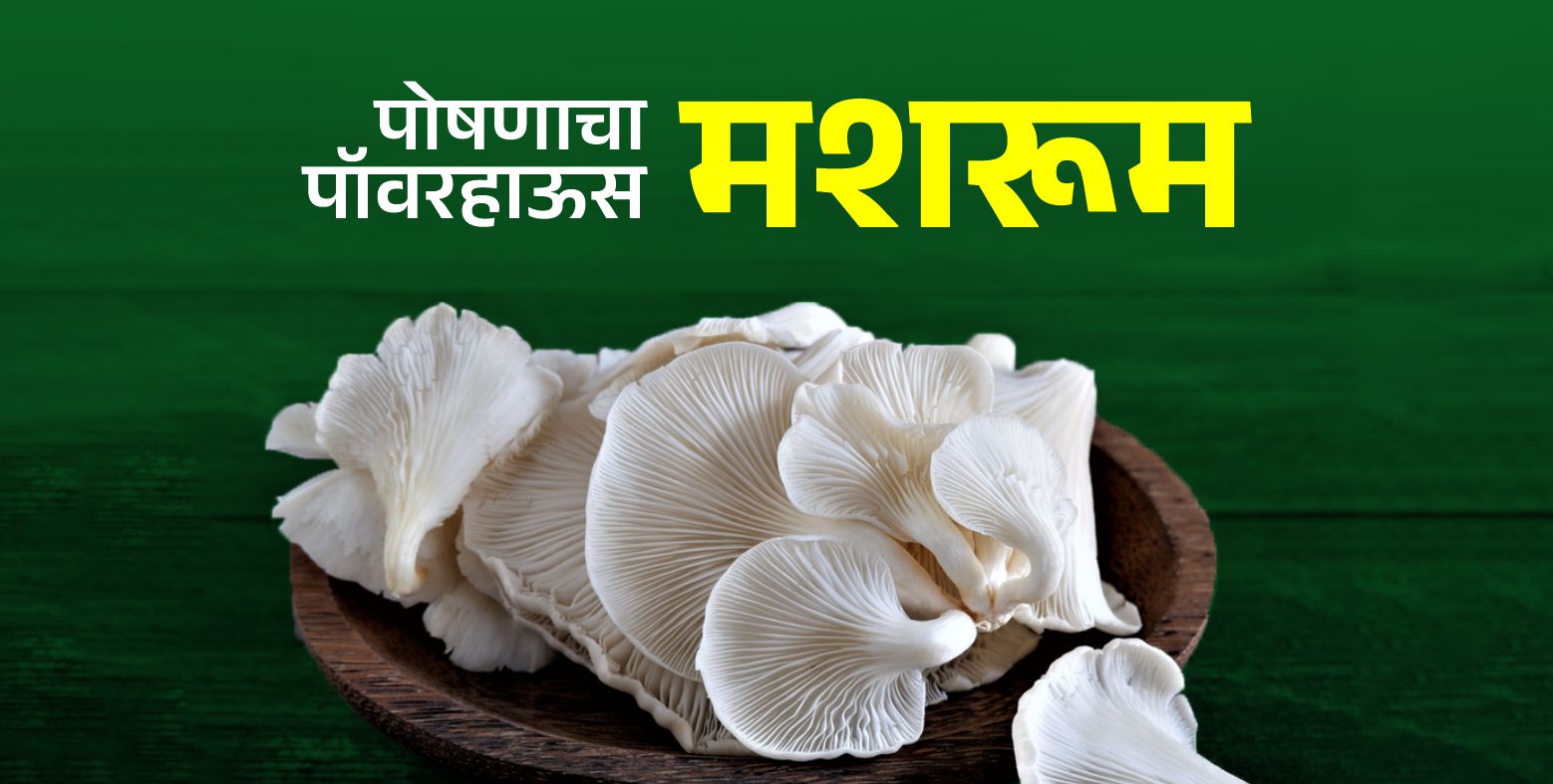 मशरूम खाण्याचे 'हे' 7 फायदे